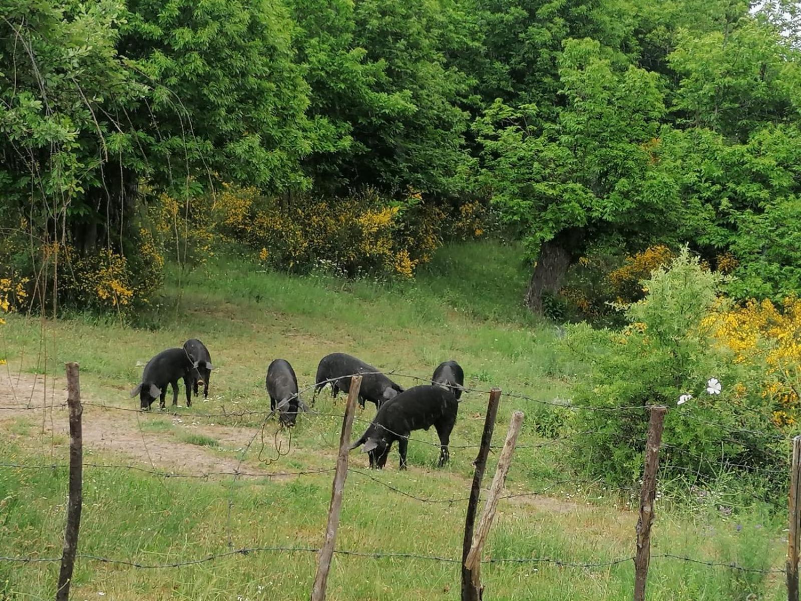 La Locanda Del Poeta Acri Zewnętrze zdjęcie