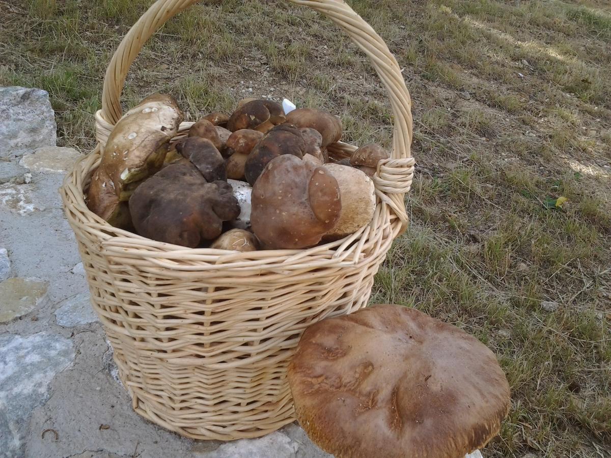 La Locanda Del Poeta Acri Pokój zdjęcie