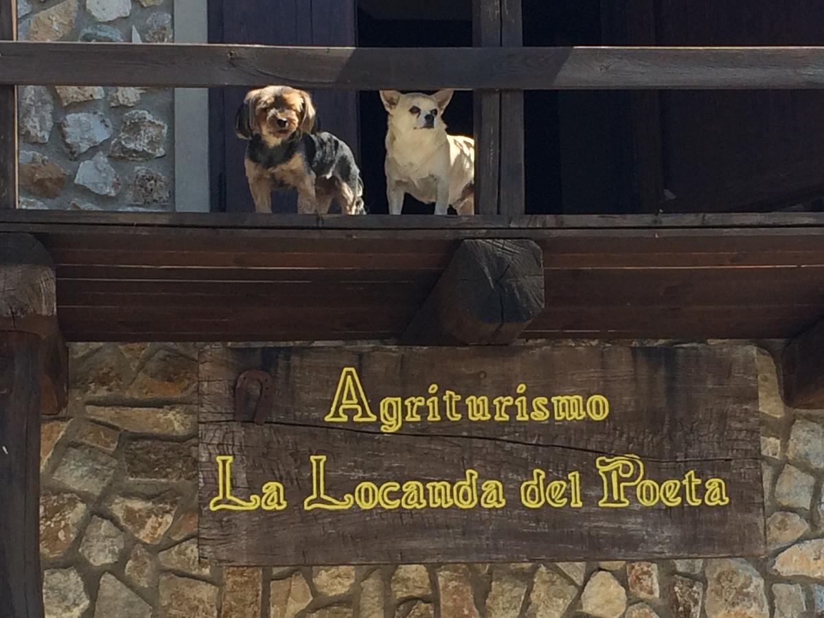 La Locanda Del Poeta Acri Zewnętrze zdjęcie